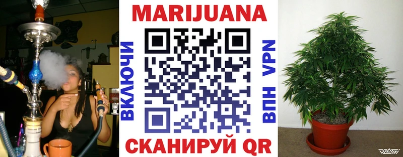 где купить Порхов МАРИХУАНА White Widow